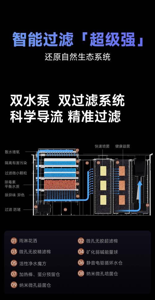 金龍魚多少溫度適合 金龍魚多少溫度適合 龍魚百科 第10張