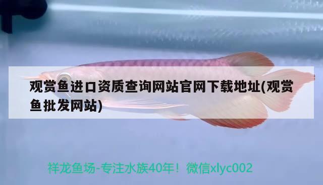 北京市竇店興強商貿中心 北京市竇店興強商貿中心 全國水族館企業名錄 第2張