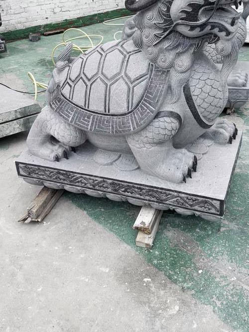 有沒有更多龍龜圖庫推薦? 龍魚百科 第7張 有沒有更多龍龜圖庫推薦? 有沒有更多龍龜圖庫推薦? 龍魚百科 第7張