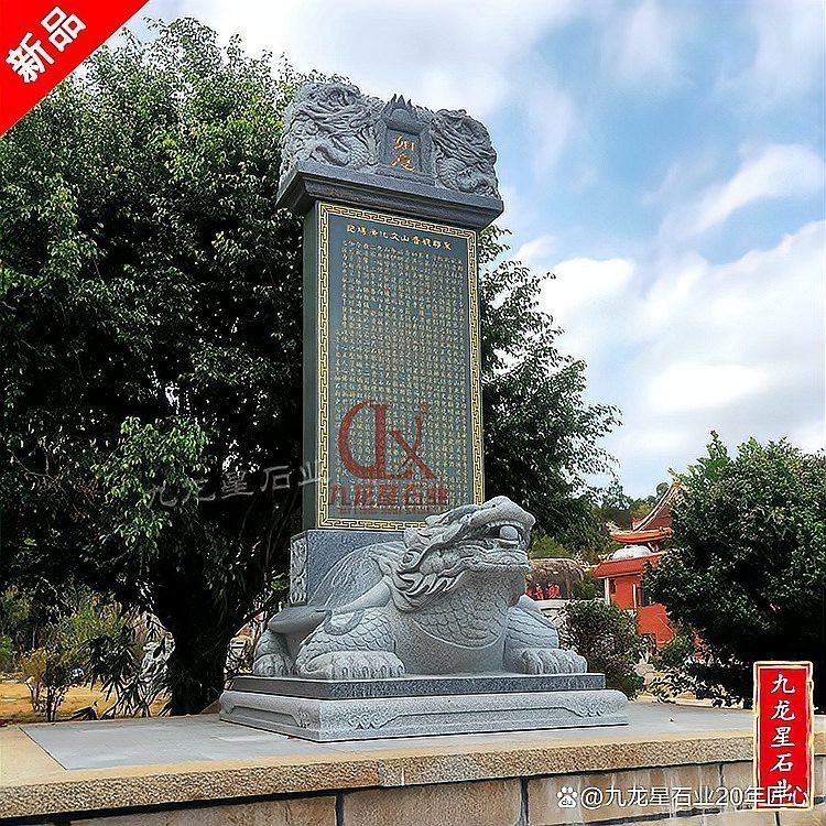 有沒有更多龍龜圖庫推薦？ 有沒有更多龍龜圖庫推薦？ 龍魚百科 第27張