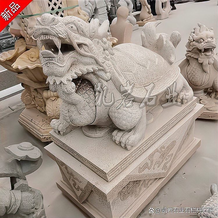 有沒有更多龍龜圖庫推薦？ 有沒有更多龍龜圖庫推薦？ 龍魚百科 第31張
