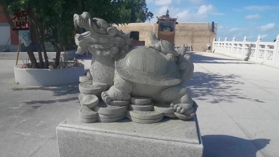 有沒有更多龍龜圖庫推薦? 龍魚百科 第12張 有沒有更多龍龜圖庫推薦? 有沒有更多龍龜圖庫推薦? 龍魚百科 第12張