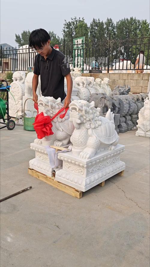 有沒有更多龍龜圖庫推薦? 龍魚百科 第19張 有沒有更多龍龜圖庫推薦? 有沒有更多龍龜圖庫推薦? 龍魚百科 第19張