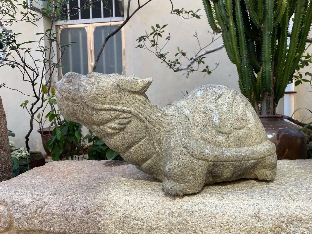 有沒有更多龍龜圖庫推薦? 龍魚百科 第5張 有沒有更多龍龜圖庫推薦? 有沒有更多龍龜圖庫推薦? 龍魚百科 第5張