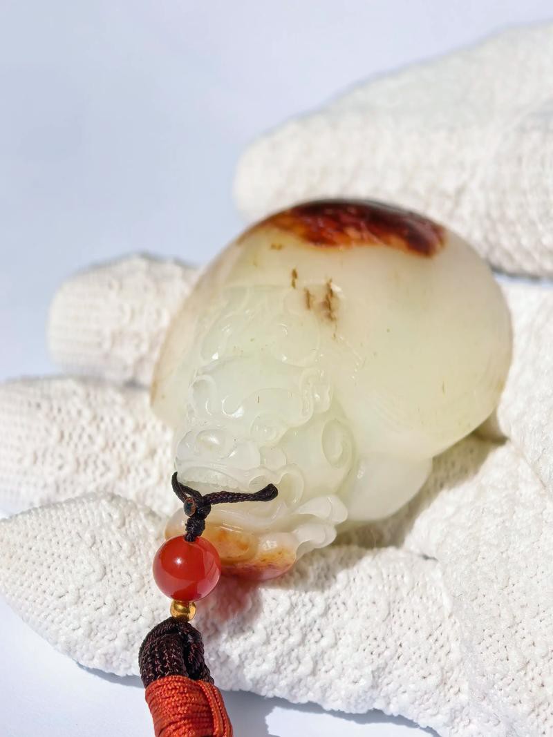 有沒有更多龍龜圖庫推薦? 龍魚百科 第32張 有沒有更多龍龜圖庫推薦? 有沒有更多龍龜圖庫推薦? 龍魚百科 第32張