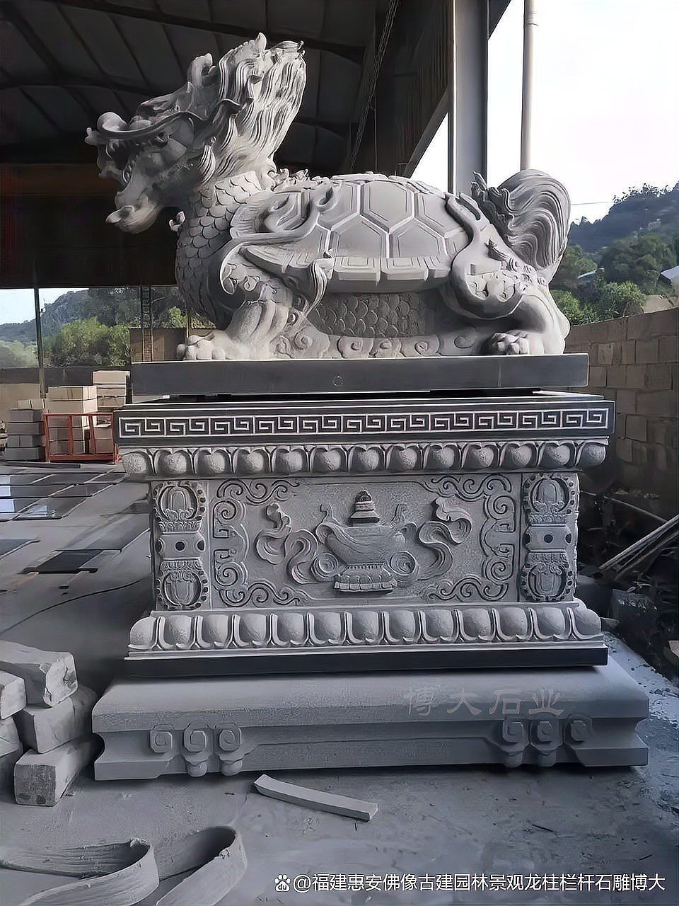 有沒有更多龍龜圖庫推薦？ 有沒有更多龍龜圖庫推薦？ 龍魚百科 第29張