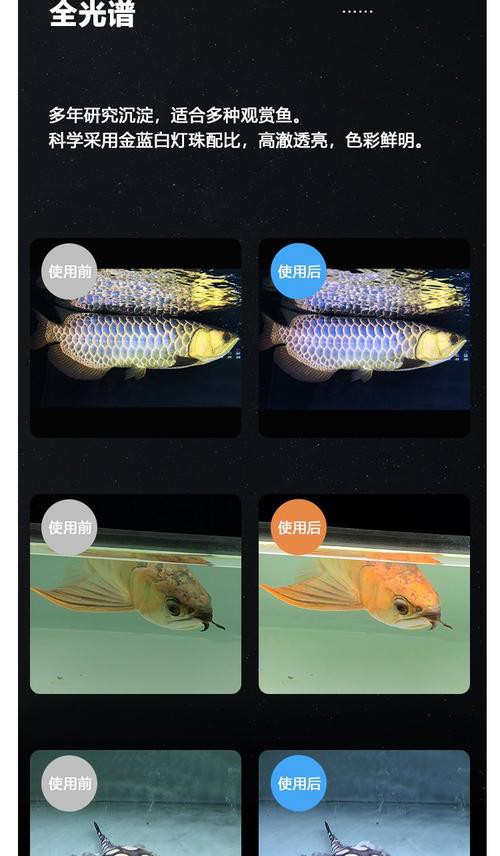 金龍魚用什么燈發色好呢