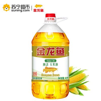 金龍魚一條價格是多少錢