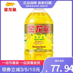 金龍魚一條價格是多少錢