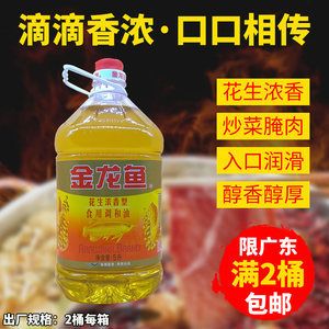 金龍魚一條價格是多少錢