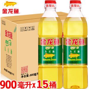 金龍魚一條價格是多少錢