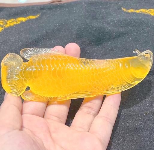 龍魚圖片頭像高清大圖