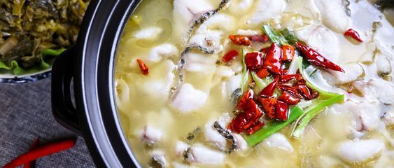10cm銀龍魚小魚好養嗎：10cm銀龍魚小魚是否好養