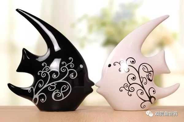 如何判斷埃及神仙魚性成熟（埃及神仙魚的性成熟可以觀察其外觀和行為表現來判斷）