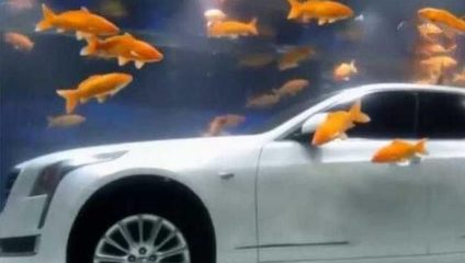 遠安縣鳴鳳鎮(zhèn)在水一方家居景致館（遠安縣鳴鳳水岸）