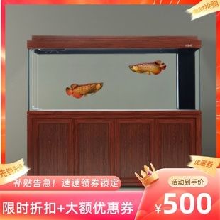 龍魚總在缸底游是什么情況呢（龍魚總在缸底游是什么原因）