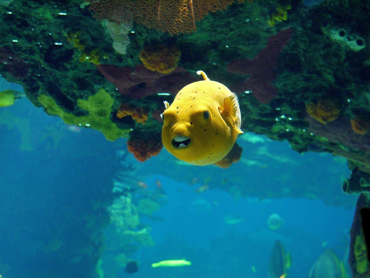 東海縣尹士朋水族館（東海縣尹士朋水族館地址）