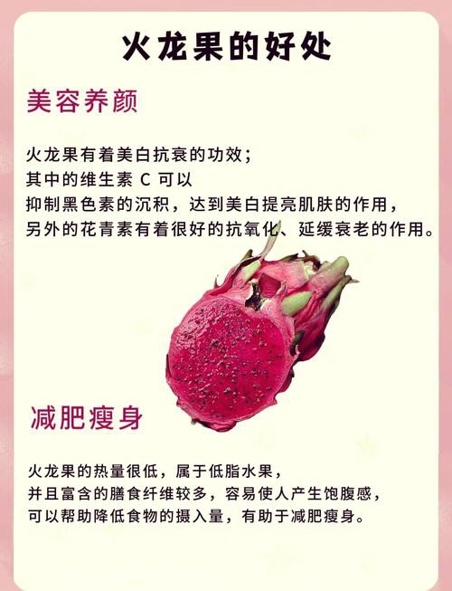 哪些人群適合食用紅龍純血？