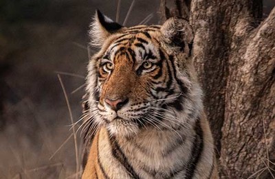 太康縣七秒水族館（太康縣七秒水族館地址）