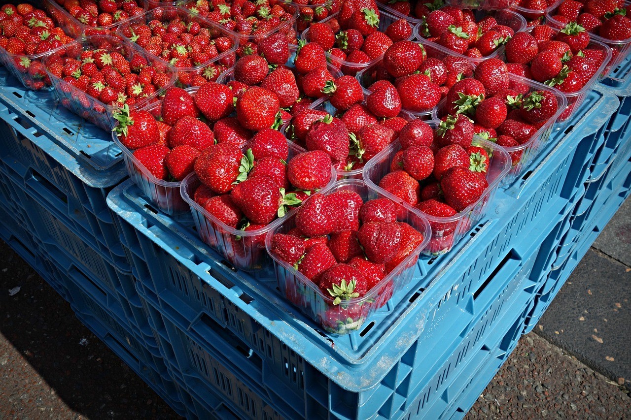 蘭考水榭春天花木園藝店