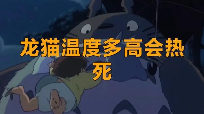 龍貓在哪些溫度下會感到不適？