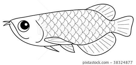 龍魚是什么樣的圖片簡筆畫