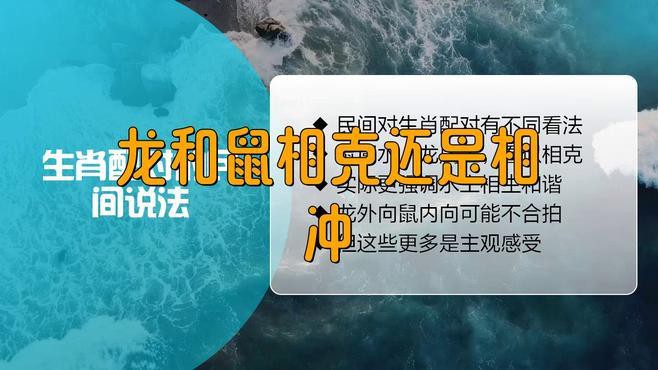 屬鼠和屬龍的合作中常見的問題有哪些？