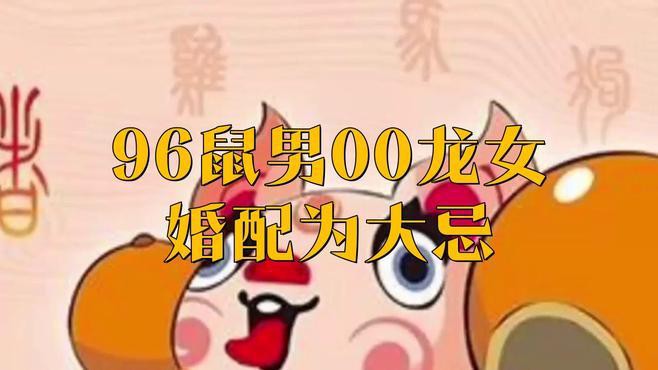 屬鼠和屬龍的合作中常見的問題有哪些？