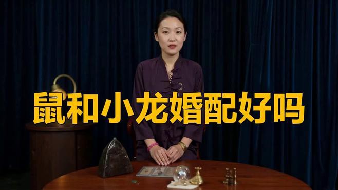 屬鼠和屬龍的合作中常見的問題有哪些？