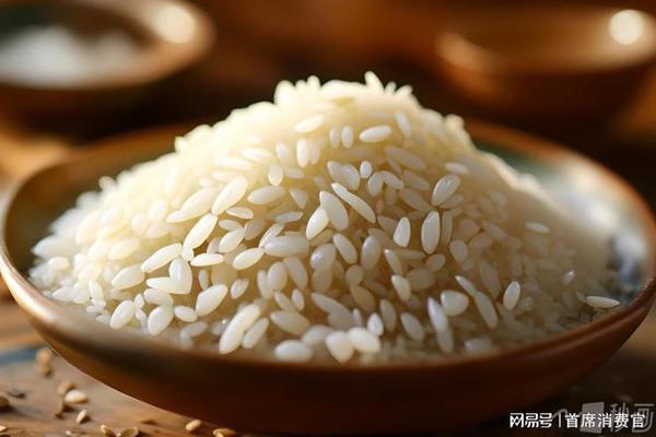 鎮(zhèn)賚縣鎮(zhèn)賚鎮(zhèn)定心海水觀賞魚工作室（鎮(zhèn)賚魚館電話號(hào)碼）