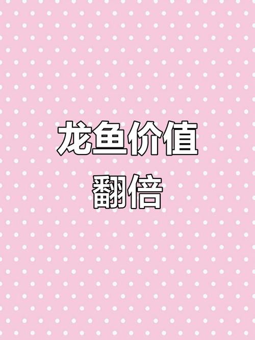 浙江龍魚市場價格表圖片