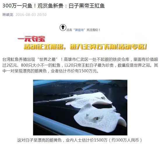 浙江龍魚市場價格表圖片