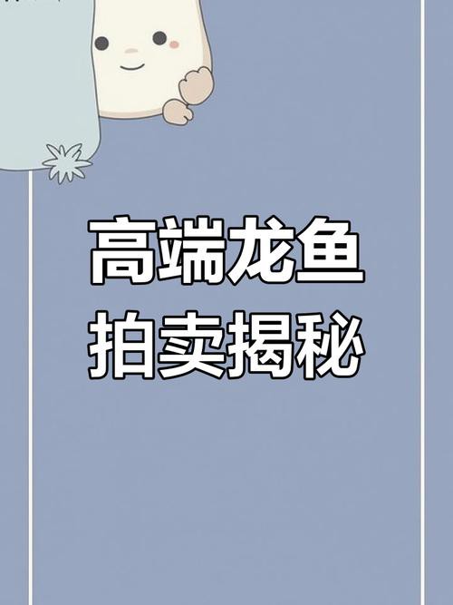 浙江龍魚市場價格表圖片