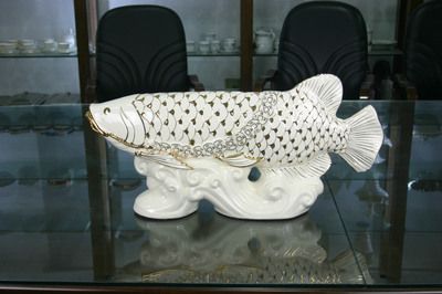 廣州過背金龍魚批發（廣州過背金龍魚批發市場）