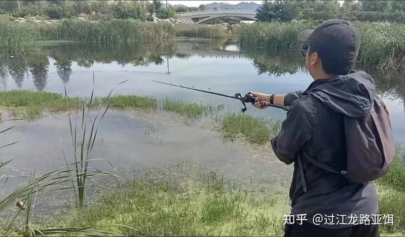 海南過江龍魚怎么釣