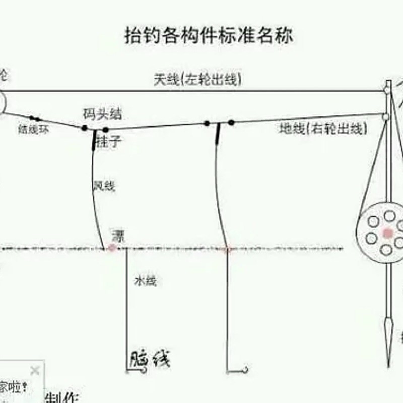 海南過江龍魚怎么釣