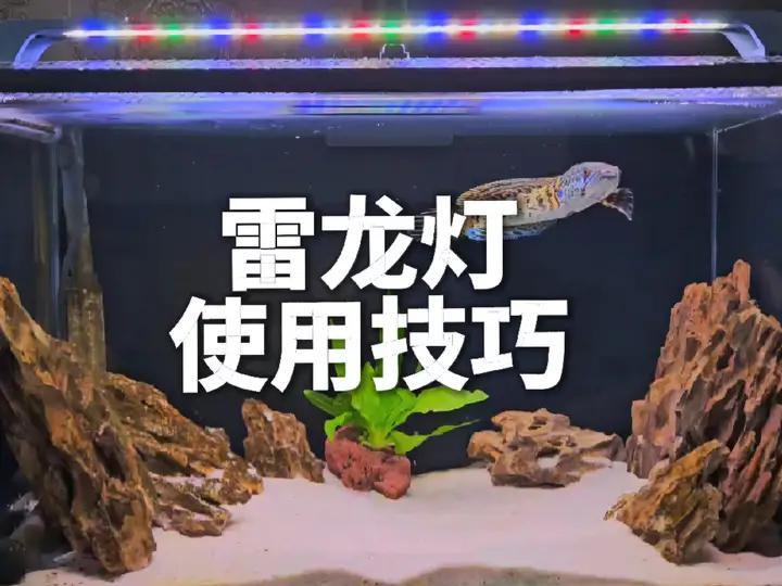 有哪些品牌的龍魚缸燈具推薦？