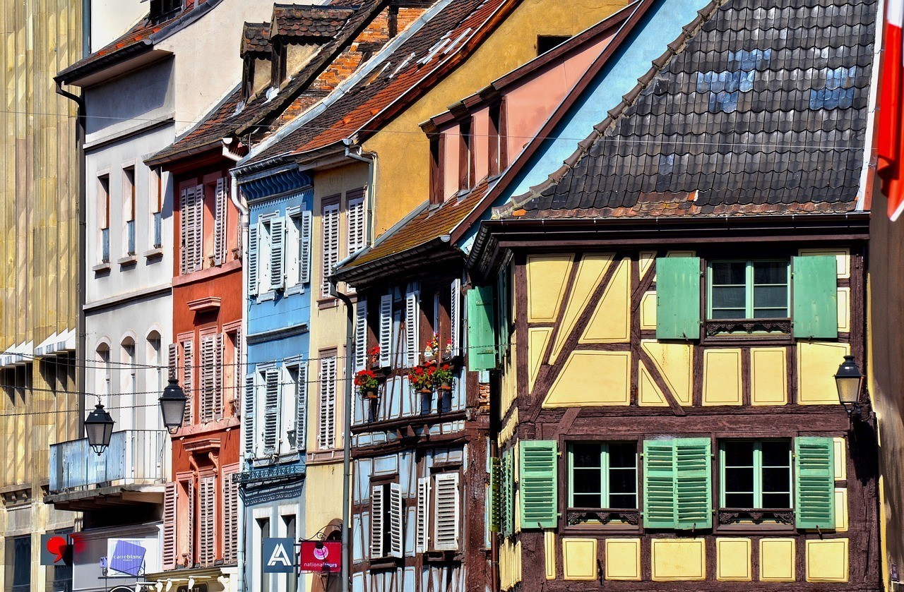 東莞市東城尋龍水族器材店 東莞市東城尋龍水族器材店 全國水族館企業名錄 第3張