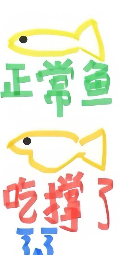 如何預防金龍魚腹部再次鼓凸？