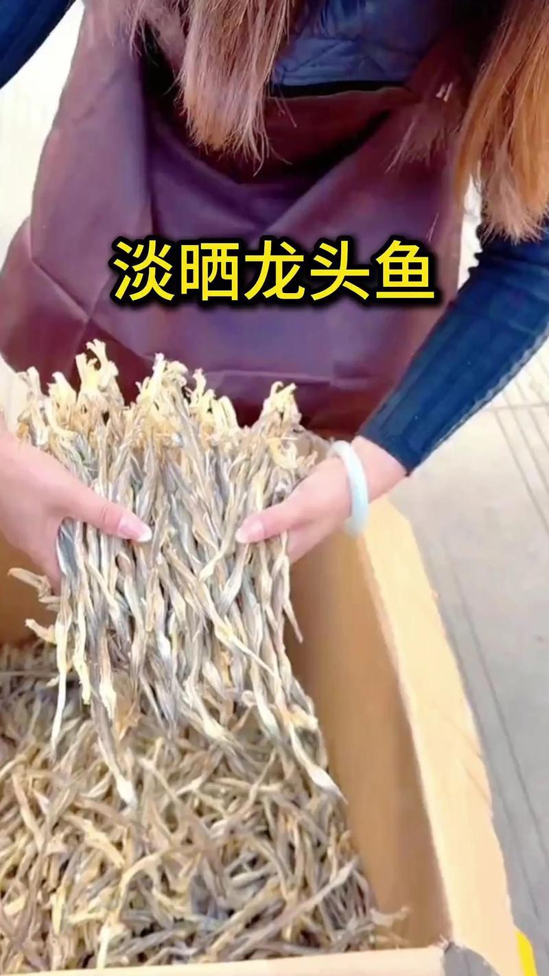 溫州龍魚哪里賣