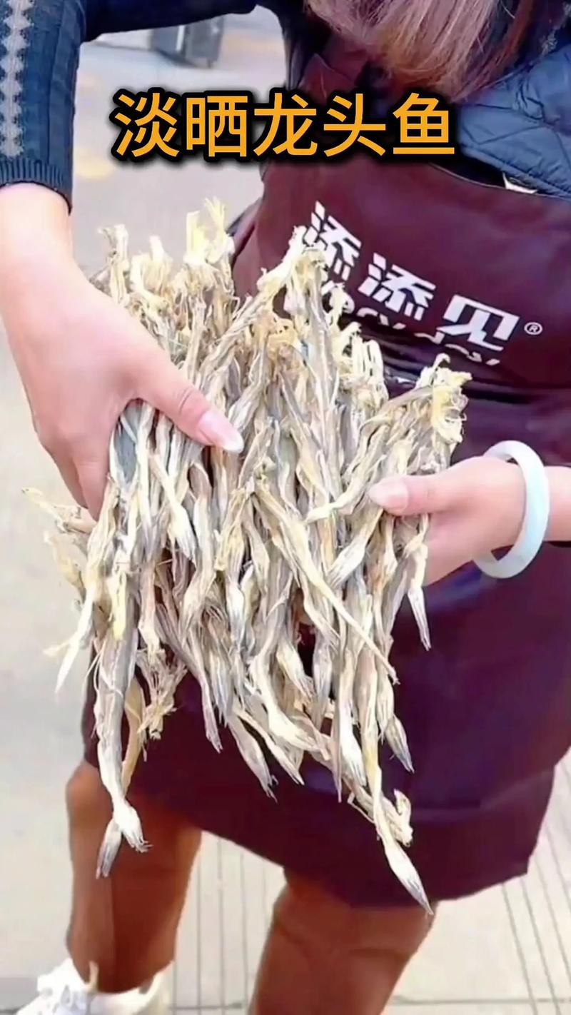 溫州龍魚哪里賣
