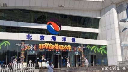 北京龍魚批發市場營業時間是幾點：北京龍魚批發市場營業時間
