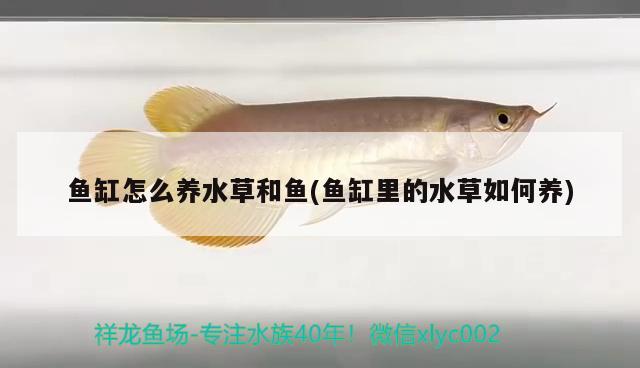 韶關(guān)魚缸定做店電話地址查詢（韶關(guān)魚缸定做店電話地址查詢大全）