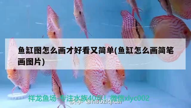 韶關(guān)魚缸定做店電話地址查詢（韶關(guān)魚缸定做店電話地址查詢大全）