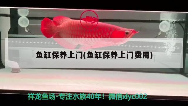 韶關(guān)魚缸定做店電話地址查詢（韶關(guān)魚缸定做店電話地址查詢大全）