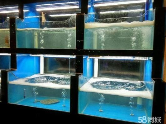 哪里可以定制魚缸