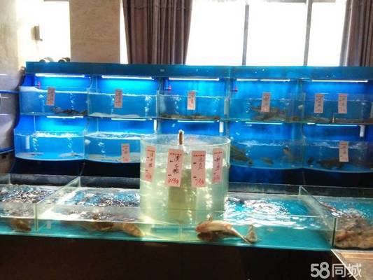 哪里可以定制魚缸