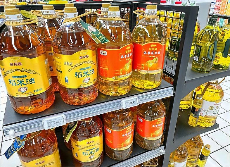 金龍魚老板是哪個國家的