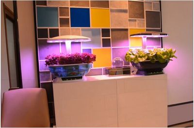 杭州市<strong><mark>江干</mark></strong>區靚美水族館（杭州市<strong><mark>江干</mark></strong>區靚美水族館地址）