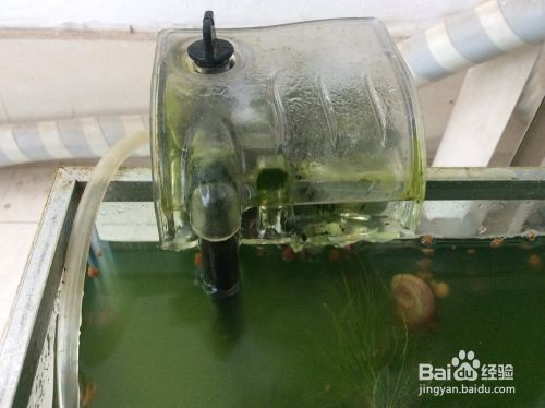 庫爾勒濱濱水族館（庫爾濱水庫在哪里）